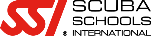SSI logo