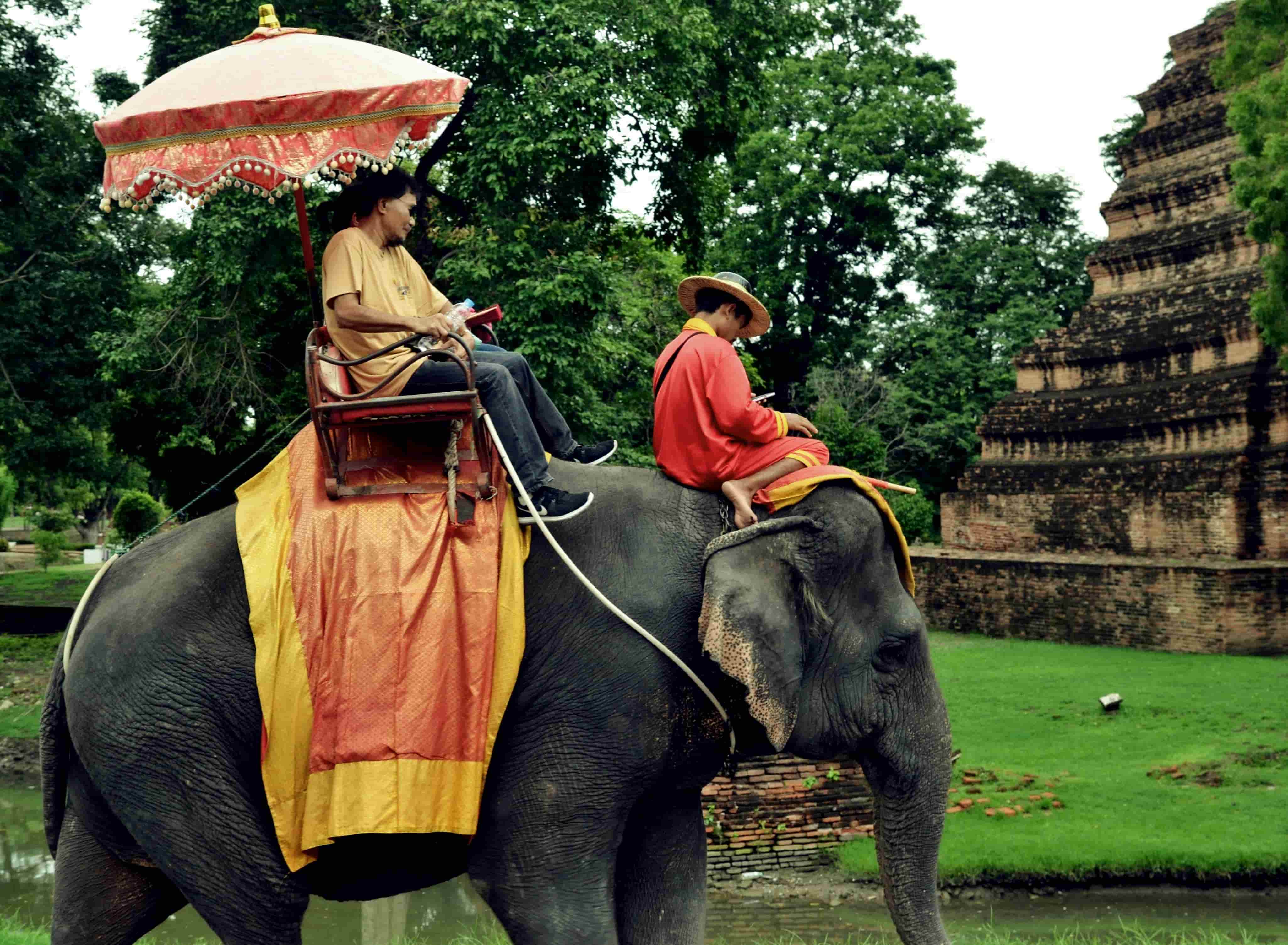 elefant călărit în Asia de Sud-Est